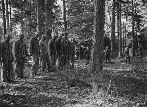 Prisoners assembled in a forest outside Buchenwald